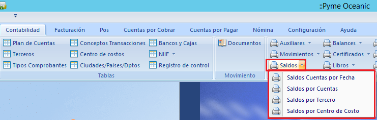 Consulta de saldos 1.png
