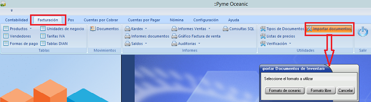 Importación de documentos 1.png