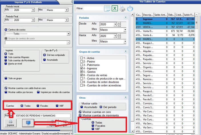 Plan de cuentas niif 4.png