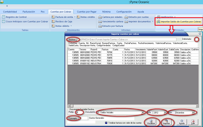 Importar saldos 1.png