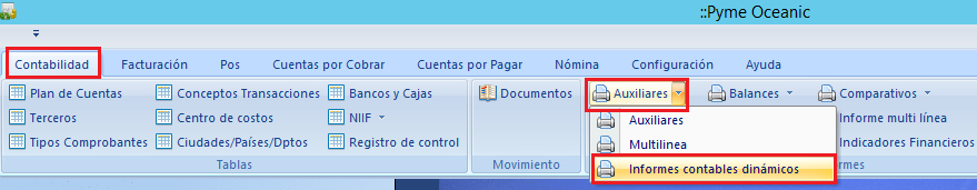 Informes contables dinámicos 1.png